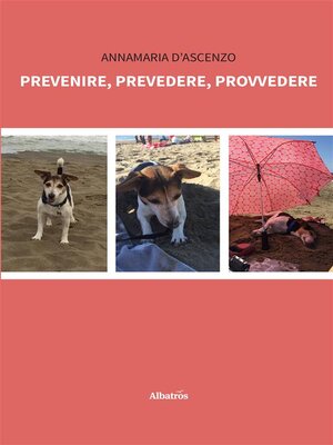 cover image of Prevenire, prevedere, provvedere